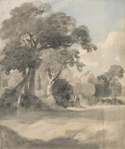 Bäume auf einer Wiese von John Constable